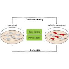 Image result for Eye Rest Green 1972 Hussmann