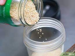 How To Make Quinoa Flour With Pictures Wikihow