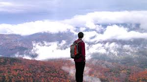 Image result for Why Solitude Loneliness