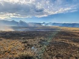 REVENUE Fire Update. Forward progression has been stopped, as of 5:30 p.m.  In the words of Incident Commander Jim King, "Response to the Revenue Fire  was an outstanding multi-jurisdictional effort, with many