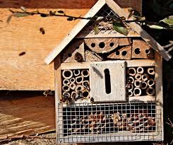 Je vielfältiger die umgebung, desto vielfältiger die hotelgäste! Insektenhotel Aufstellen Wo Wann Wie So Geht S Richtig