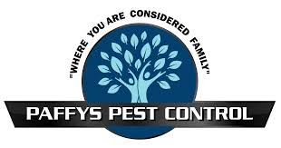 Need pest control emergency service in brooklyn? Top 10 Best Pest Exterminators In Minneapolis Mn Angi