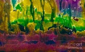 Certified planting material from holland. Deep Sea Fantasy Painting By Hazel Holland