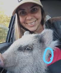 Camila has this lump in her tail, with some red scales/spots. Monitored for  a couple days doesn't seem to get worse or better. She had it when I  brought her in from