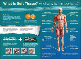 Pin On Physical Therapy