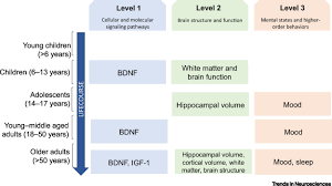 The test administrator should be informed before psychological testing begins if the test taker is not fluent in english and/or belongs to a minority culture. Effects Of Exercise On Brain And Cognition Across Age Groups And Health States Trends In Neurosciences
