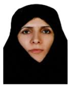 مقالات Fatemehsadat Seyed Nematollah Roshan