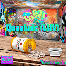 Image result for Quaalude