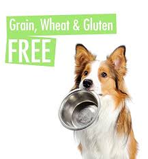 The Best Dog Treats All Natural Freeze Dried Beef Training Treats Made In Usa Grain Wheat Gluten Free Dog Snacks No Refrigeration Needed So Its Hayvanlar