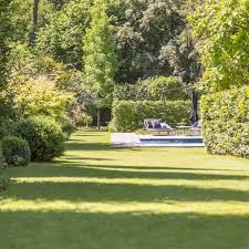 Schoner Wassergarten In Krefeld Leistungsbild Garten Wassergarten Privatgarten