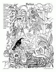 Use this lesson in your classroom, homeschooling curriculum or just as a fun kids activity that you as a parent can do with your child. 11 Pics Of Rainforest Coloring Page Sheets Rainforest Coloring Coloring Home