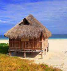 Beach Shack Hut House Artes