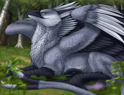 gryphon  funny cocks & best free porn: r34, futanari, shemale, hentai,  femdom and fandom porn