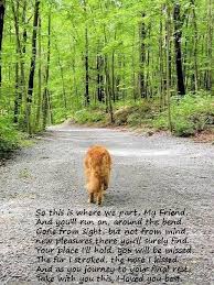 In Memory Of Cooper Lala I Miss You Already I Hope You Know We Love You And Will Never Stop I Hope You Are With Lexus A Pet Remembrance Losing A