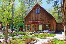 Backpacking and camping on south and north manitou islands. Camping At Sleeping Bear Dunes Pandatrot Blog