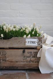 Dans Mon Jardin Secret Il Y A Spring Bulbs Flowers Spring Flowers