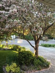 Looking Back Over The Growing Season Finegardening Garden Pathway Lawn Design Garden Inspiration