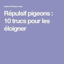 Repulsif Pigeon Repulsif Naturel Et Produit Anti Pigeon Pigeon Faire Fuir Les Pigeons Repulsif