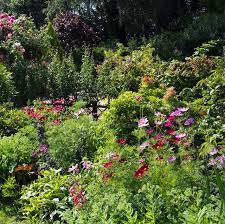 Homeowners looking to manicure their own lawns landscaping for beginners, gardening tools 101, landscaping for beginners pictures, basic landscape design concepts, landscaping for beginners. 10 Best Low Maintenance Bushes And Shrubs Easy Garden Plant Ideas