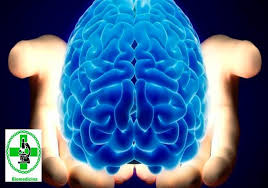 Resultado de imagem para DEPRESSÃƒO E NEUROANATOMIA