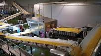 Discovery optical sorting machine for sweet corn kernels | RAYTEC VISION SpA