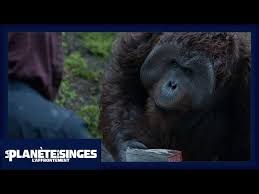 La planète des singes : La Planete Des Singes L Affrontement Extrait Le Livre Officiel Vost Hd Youtube