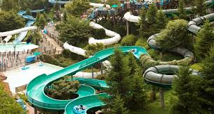 爱宝乐园度假村 水上乐园开发商 Forrec In 2020 Resort Water Park Water Park Night Sky Photos