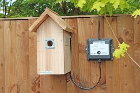 See more ideas about bird box camera, bird boxes, box suppliers of bird box cameras and various wildlife surveillance kits for your very own nature watch. Wireless Bird Box Camera Gardenature