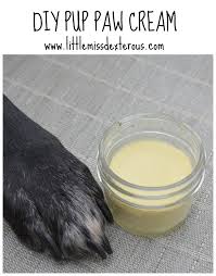 Check spelling or type a new query. Paws Pet Grooming Langebaan Alex Paperdreams