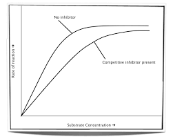 How Do Competitive And Noncompetitive Inhibitors Affect