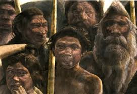 Era onnivoro, si nutriva di bacche, frutta, erbe, grandi animali morti e piccoli animali catturati; Le Origini Dell Uomo