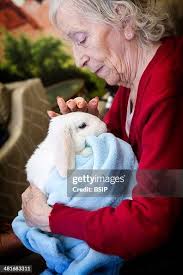 158 Fondle Stock Photos, High-Res Pictures, and Images