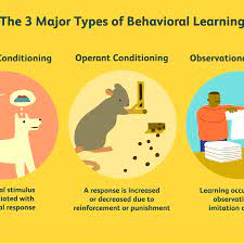 The Basics Of The Psychology Of Learning