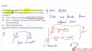Usually, the bees do a fine job, but if. A Dicotyledonous Plant Bears Flowers But Never Produces Fruits And Seeds The Most Probable Cause For The Above Situation Is Biology Q A Doubtnut