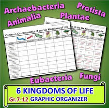 The Six Kingdoms Of Life Graphic Organizer Editable