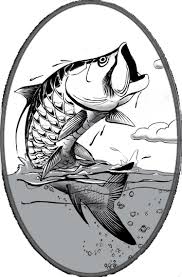 Tarpon Oval Decal Fish Drawings Silhouette Art Fish Art