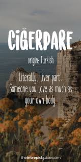203 Most Beautiful Untranslatable Words The Ultimate List A Z The Intrepid Guide It means no worries for the rest of your days. 203 most beautiful untranslatable words