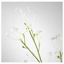 Maybe you would like to learn more about one of these? Smycka Artificial Flower Baby S Breath White 60 Cm Ikea