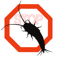 Pest reject pro ultrasonic repeller home bed bug mites spider defender roaches. Home Pest Control Silverfish Identification Prevention And Removal Tips