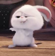 Funny rabbit with superman costume. 53 Funny Rabbit Ideas Funny Rabbit Cute Bunny Cute Bunny Cartoon