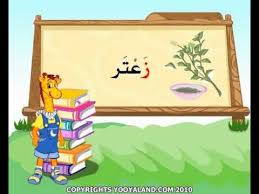 حرف ز Alphabet And Numbers Activities Toy Chest