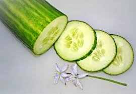 Check spelling or type a new query. Can Cats Eat Cucumber 4 Potential Benefits
