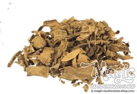 Image result for Voacanga africana