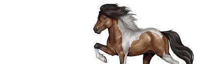 Feed and take care of your virtual horse, look after it and keep it healthy. Home Horse Reality