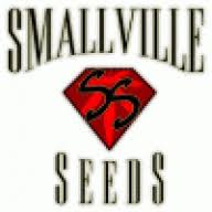 I already have a gorilla 5x5 and i don't believe i need to spend that much for my veg tent. What S The Best Grow Tent Thcfarmer Cannabis Cultivation Network
