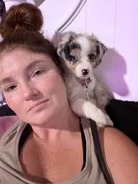 Mini Aussie puppy at 8 weeks old