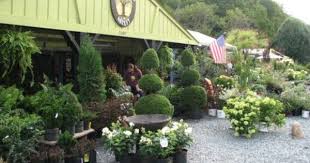 Welcome To The Mustard Seed Garden Center Displays Garden Nursery Garden Center
