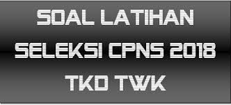 Contoh Latihan Soal Tes Cpns Tkd Tkw Pendidikan Kewarganegaraan Pendidikan Kewarganegaraan