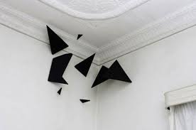 Profil de Aaron Gundersen (aaronrg2)