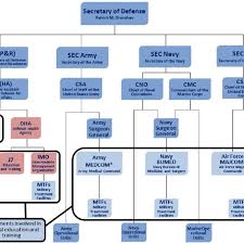 Governance Structure Of The Military Health System